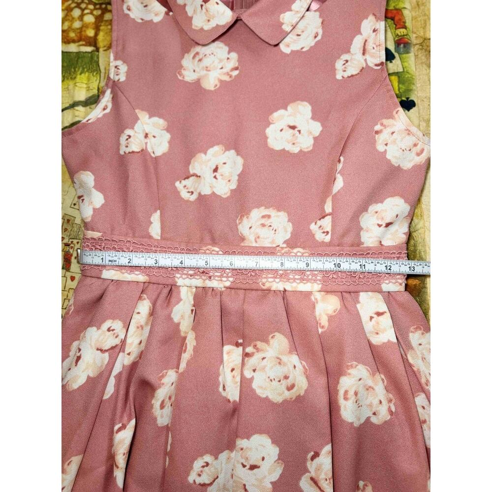 Liz Lisa Collared Floral Pink Dress Jfashion Gyaru Himekaji Coquette Autumn 2013 - Picture 8 of 16